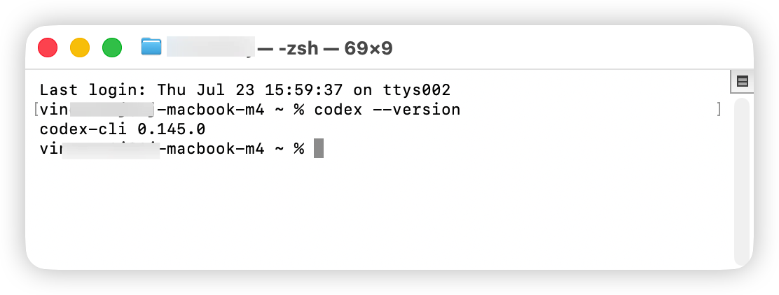 Codex CLI 版本检查结果