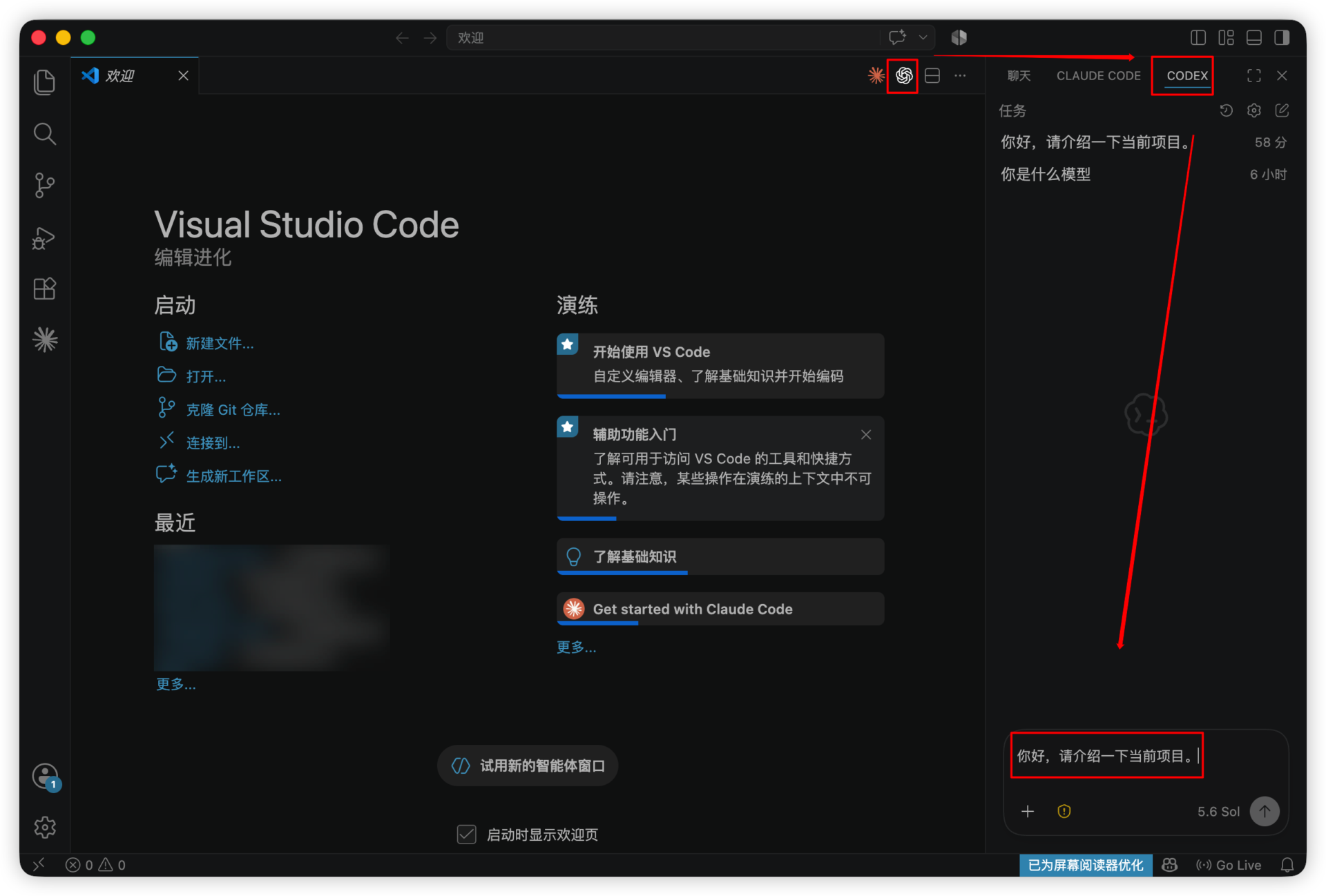 在 VS Code 的 Codex 面板中发送测试请求